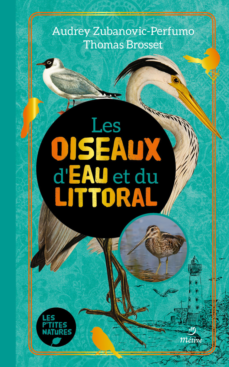 LES OISEAUX D'EAU ET DU LITTORAL - BROSSET - METIVE