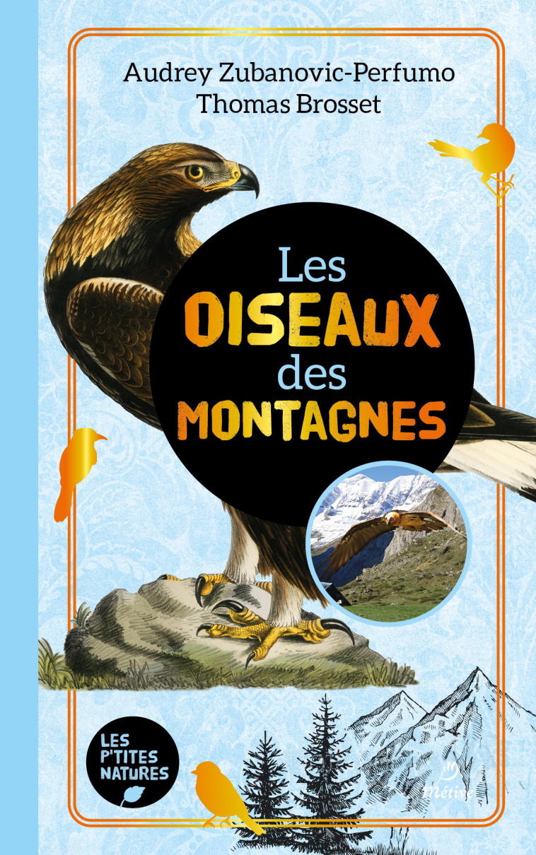 LES OISEAUX DES MONTAGNES - BROSSET - METIVE