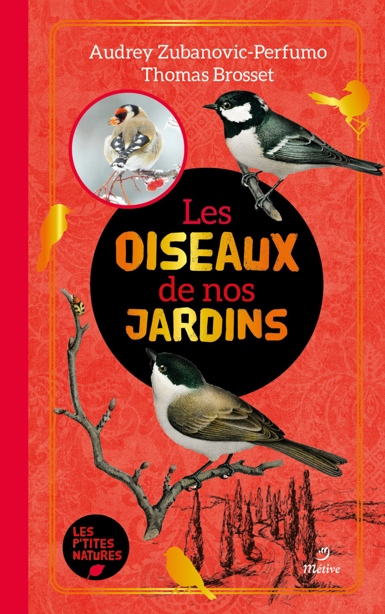 LES OISEAUX DE NOS JARDINS - BROSSET - METIVE