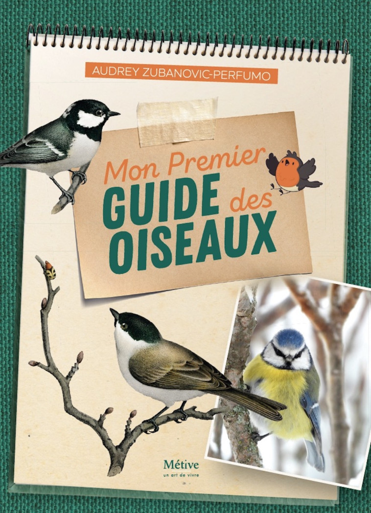 MON PREMIER GUIDE DES OISEAUX - ZUBANOVIC-PERFUMO A. - METIVE