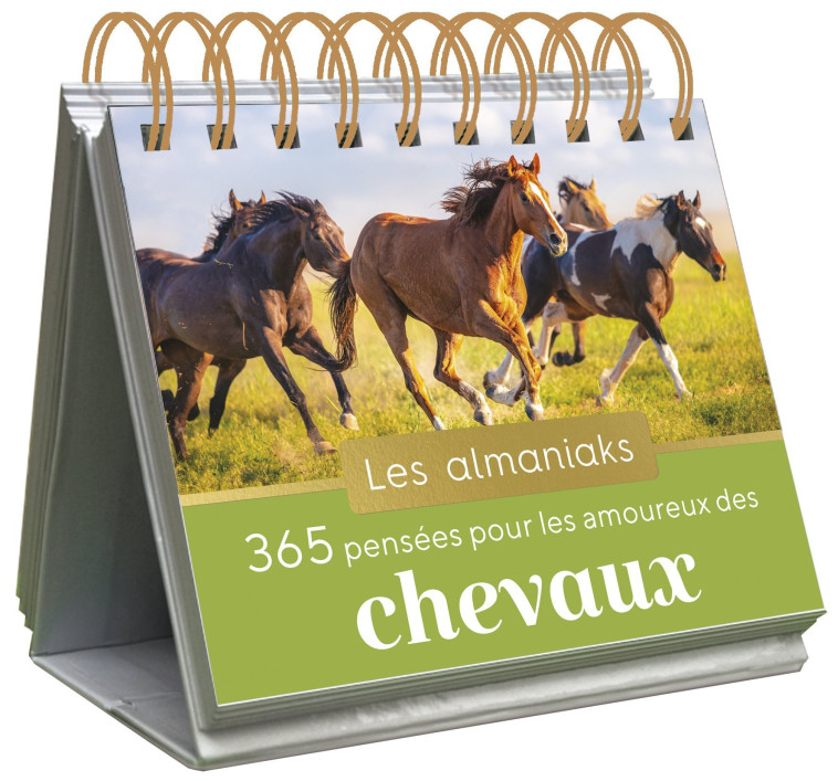 ALMANIAK 365 PENSEES POUR LES AMOUREUX DES CHEVAUX - BOONE DANIELE - 365 PARIS