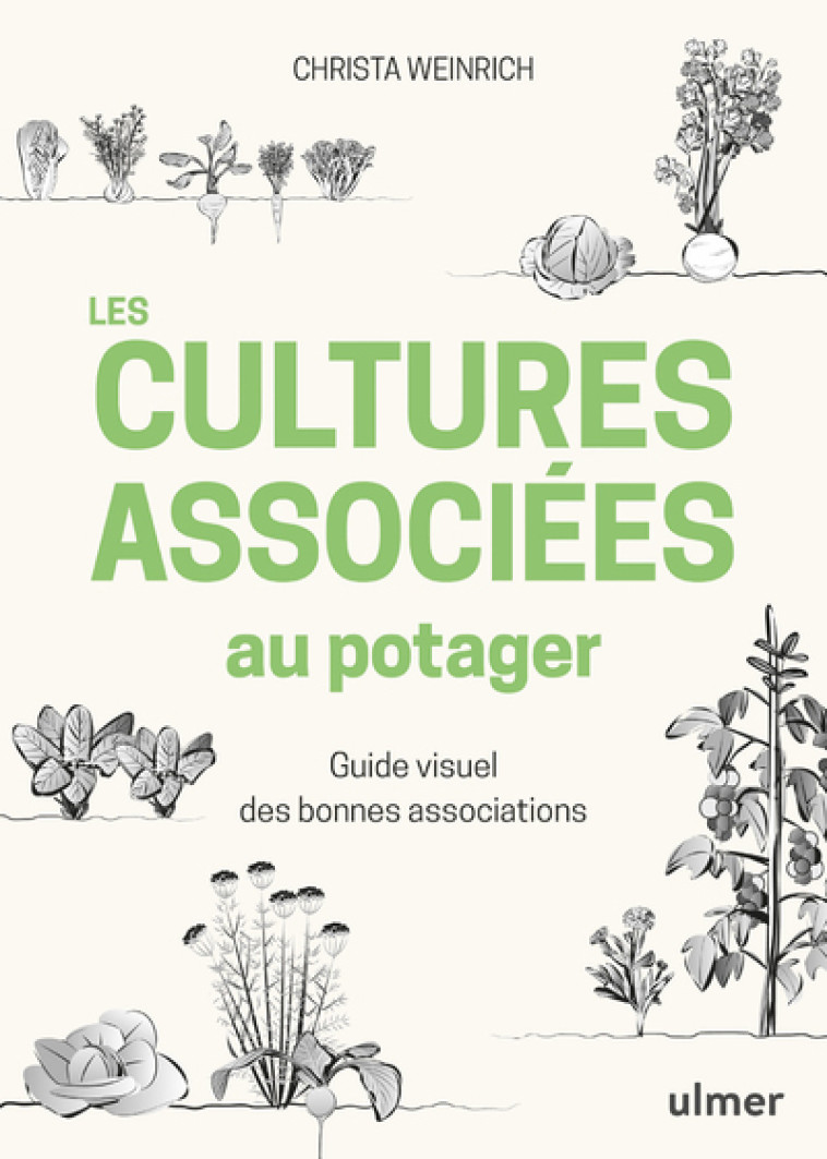 LES CULTURES ASSOCIEES AU POTAGER - GUIDE V ISUEL DES BONNES ASSOCIATIONS - WEINRICH CHRISTA - ULMER