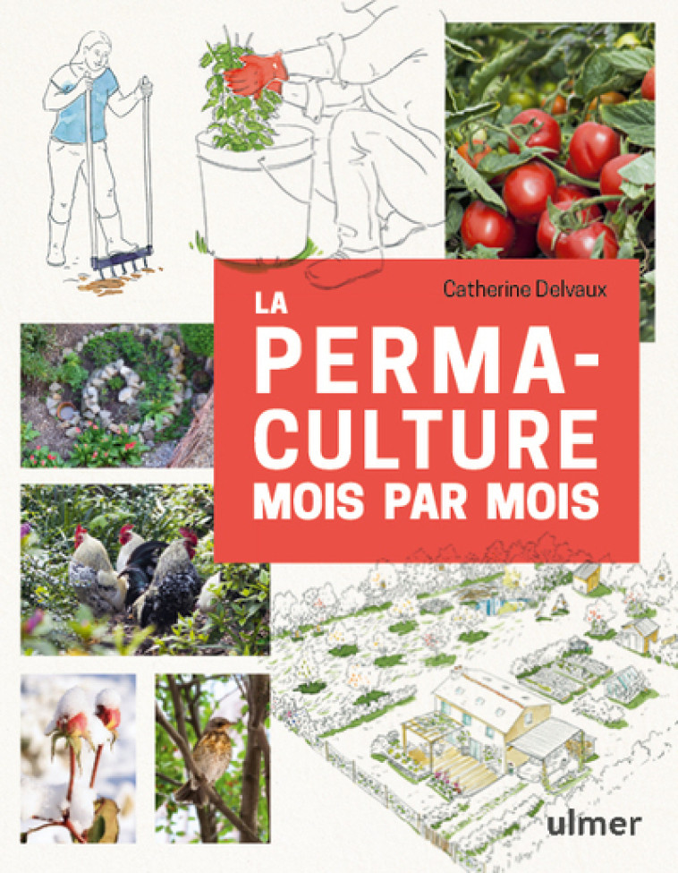 LA PERMACULTURE MOIS PAR MOIS - DELVAUX/LE TOQUIN - ULMER