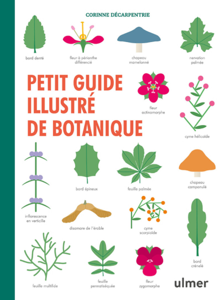 PETIT GUIDE ILLUSTRE DE BOTANIQUE - DECARPENTRIE CORINNE - ULMER