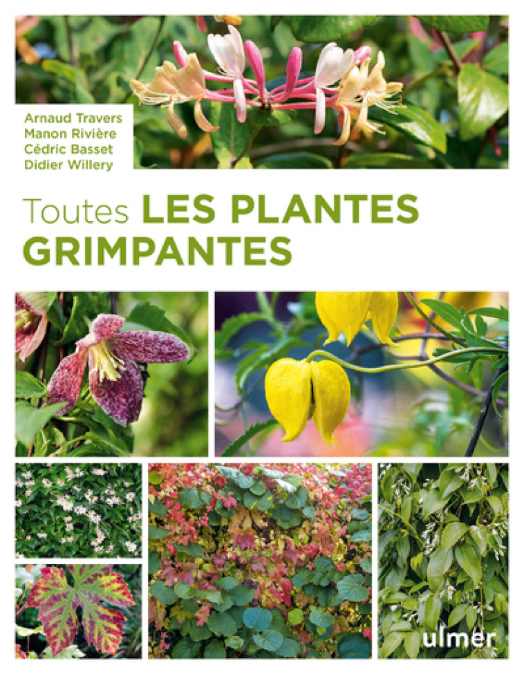 TOUTES LES PLANTES GRIMPANTES - TRAVERS/BASSET - ULMER