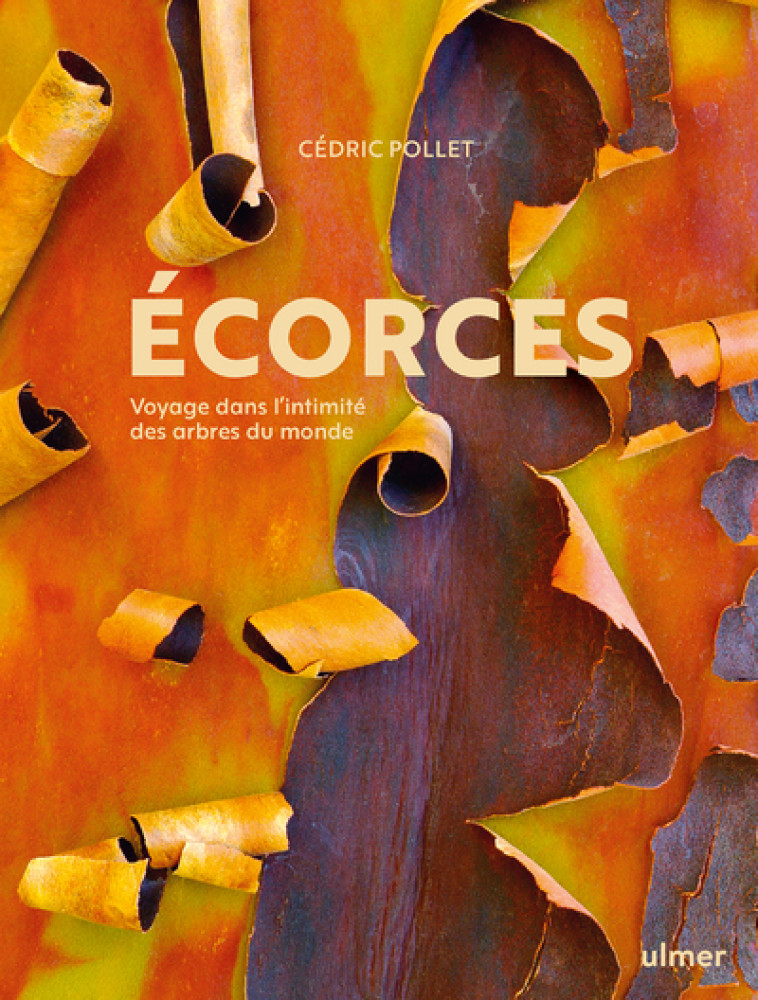 ECORCES - VOYAGE DANS L'INTIMITE DES ARBRES DU MONDE - POLLET CEDRIC - ULMER