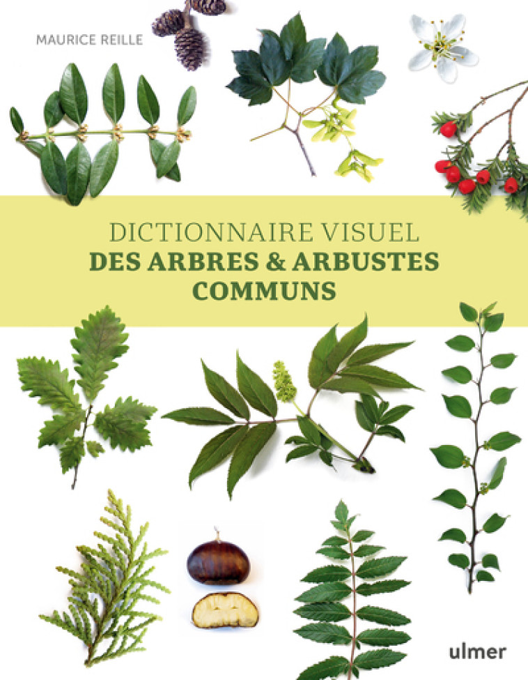 DICTIONNAIRE VISUEL DES ARBRES ET ARBUSTES COMMUNS - REILLE MAURICE - ULMER