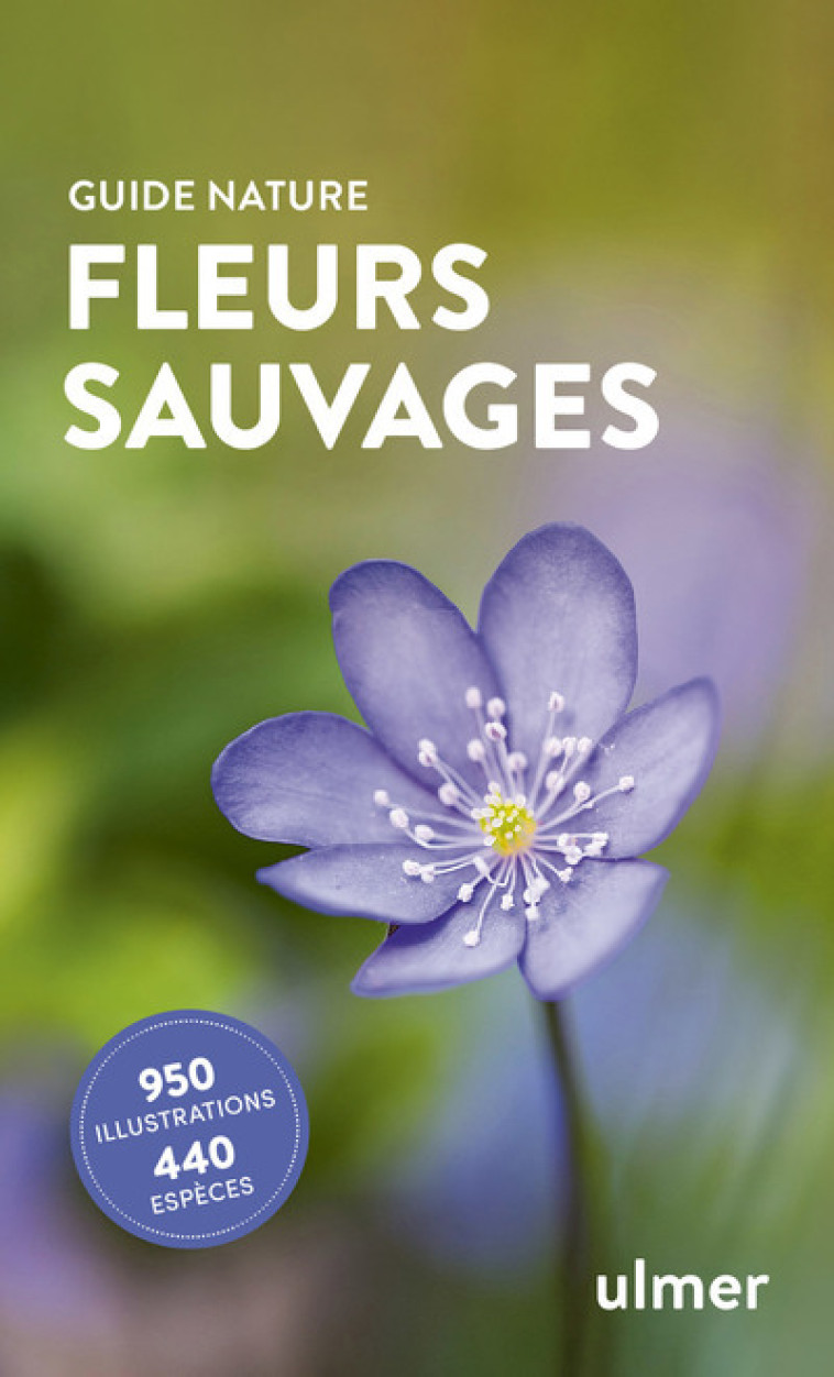 FLEURS SAUVAGES - KREMER BRUNO P. - ULMER