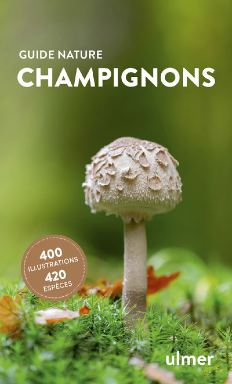 CHAMPIGNONS - GRUNERT - ULMER