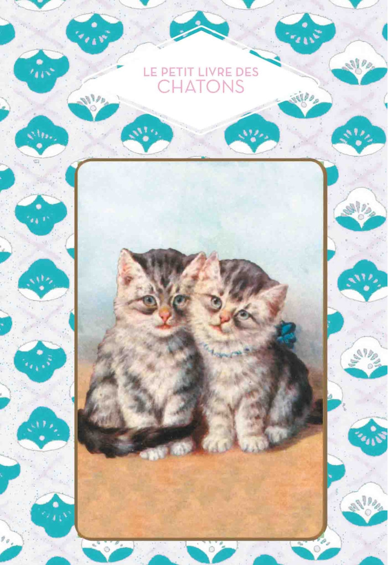 LE PETIT LIVRE DES CHATONS - FOUFELLE DOMINIQUE - HACHETTE PRAT