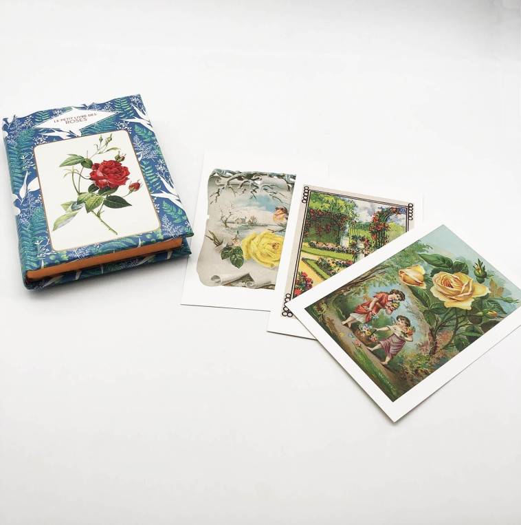 LE PETIT LIVRE DES ROSES + CARTES POSTALES - BEAUVAIS MICHEL - HACHETTE PRAT