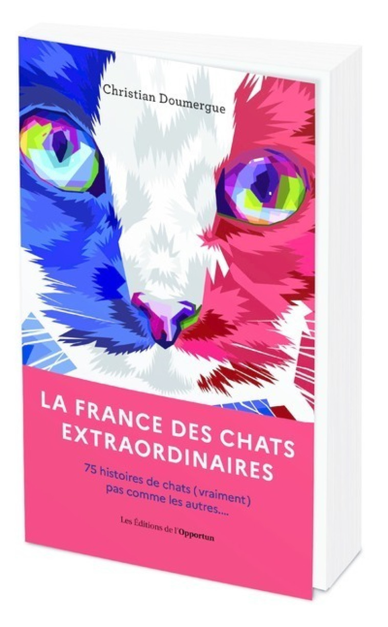 LA FRANCE DES CHATS EXTRAORDINAIRES - 75 HI STOIRES DE CHATS P(VRAIMENT) PAS COMME LES - DOUMERGUE CHRISTIAN - OPPORTUN