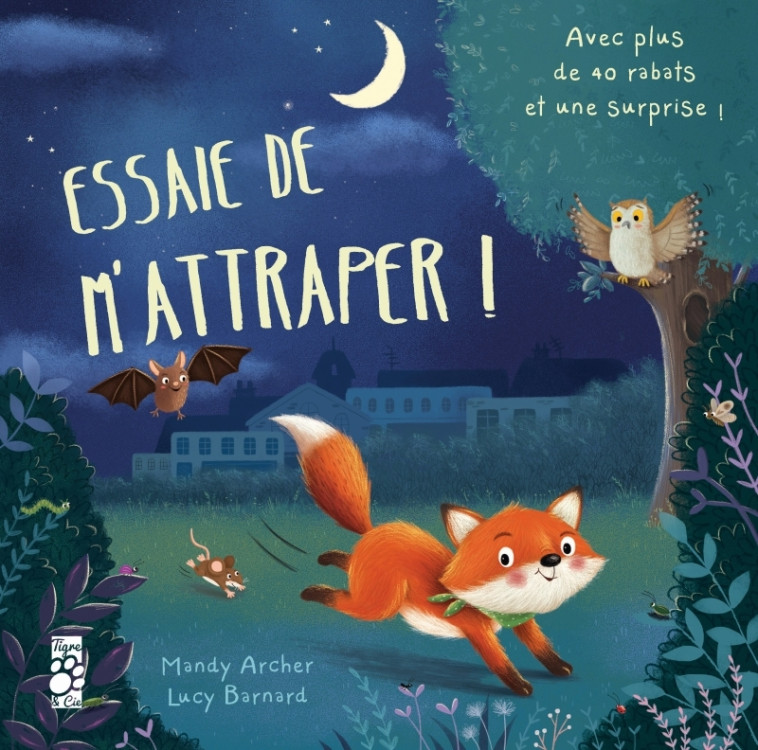 ESSAIE DE M'ATTRAPER ! - ARCHER/BARNARD - TIGRE ET CIE