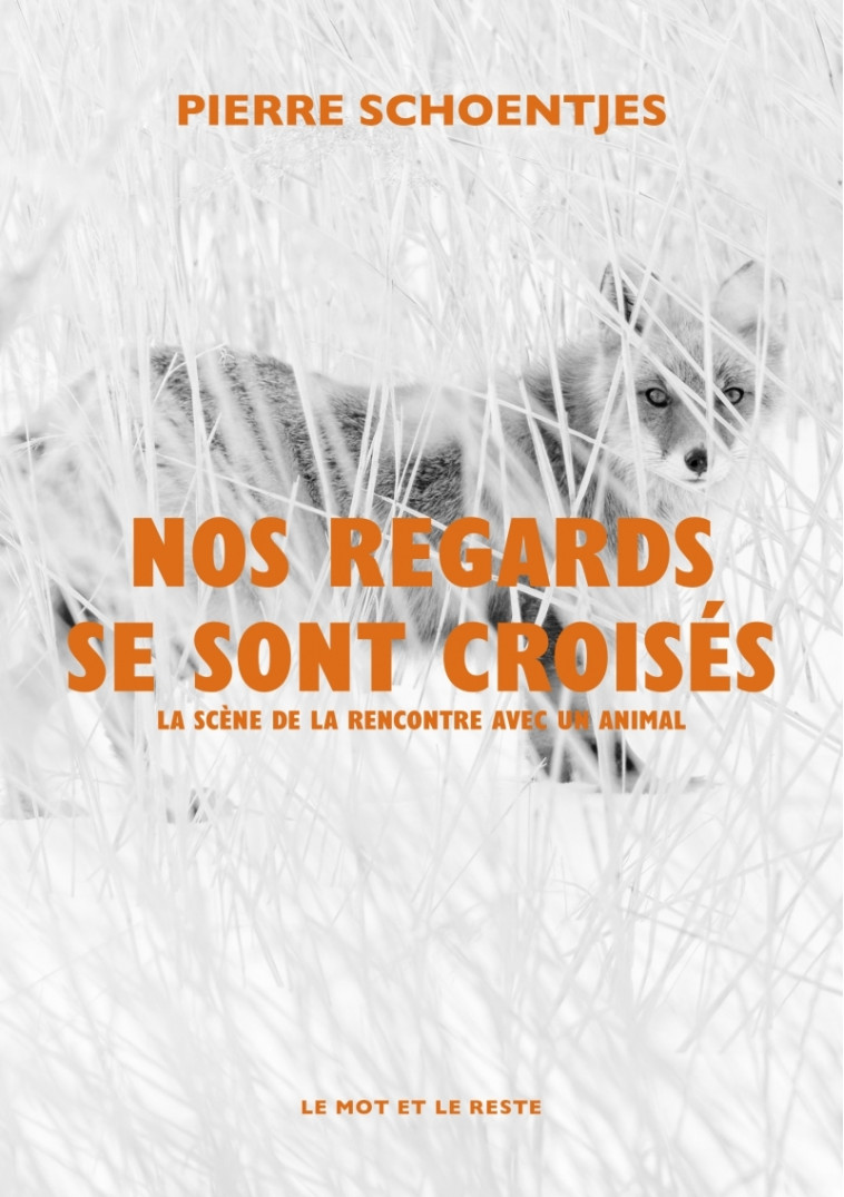 NOS REGARDS SE SONT CROISES - SCHOENTJES PIERRE - MOT ET LE RESTE