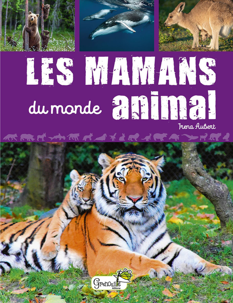 LES MAMANS DU MONDE ANIMAL - AUBERT IRENA - GRENOUILLE