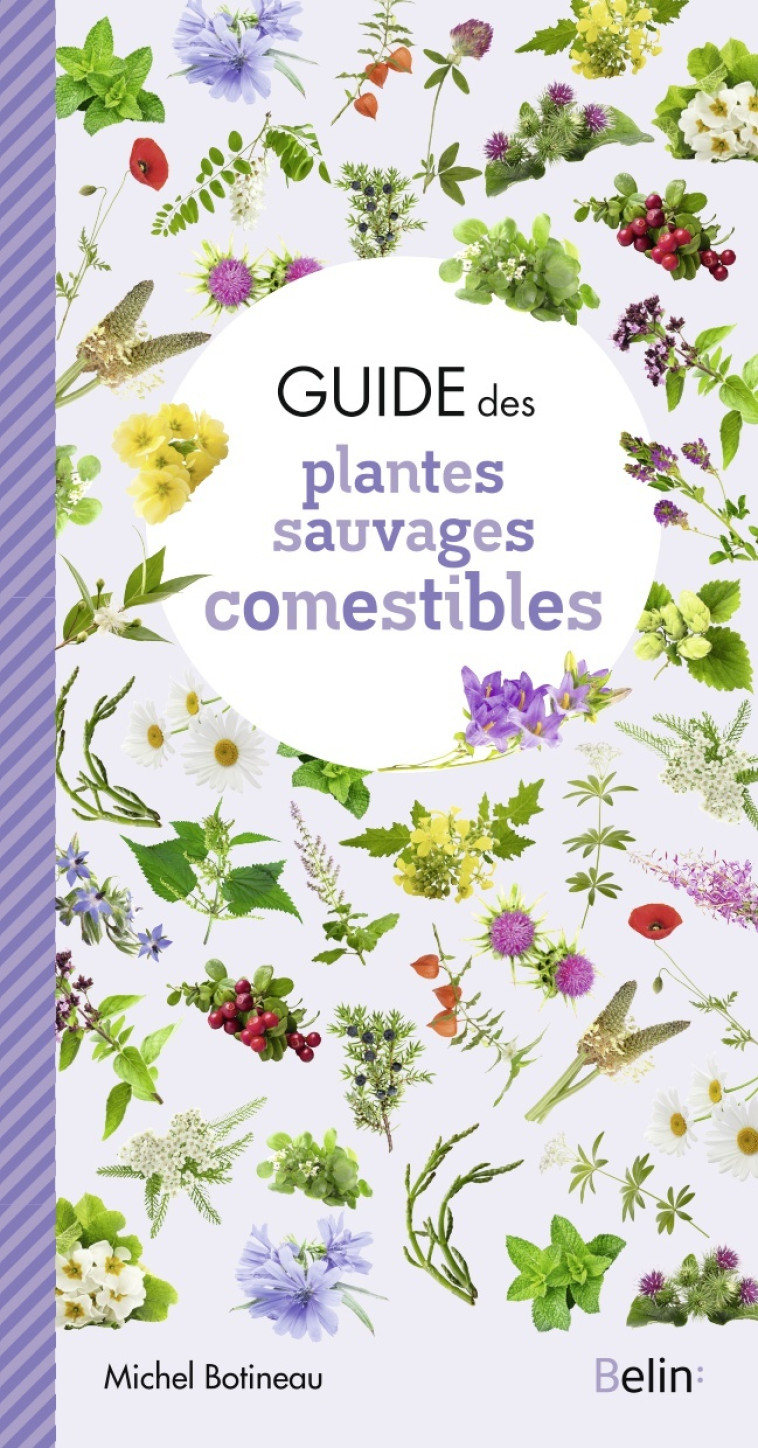 GUIDE DES PLANTES SAUVAGES COMESTIBLES - BOTINEAU MICHEL - BELIN