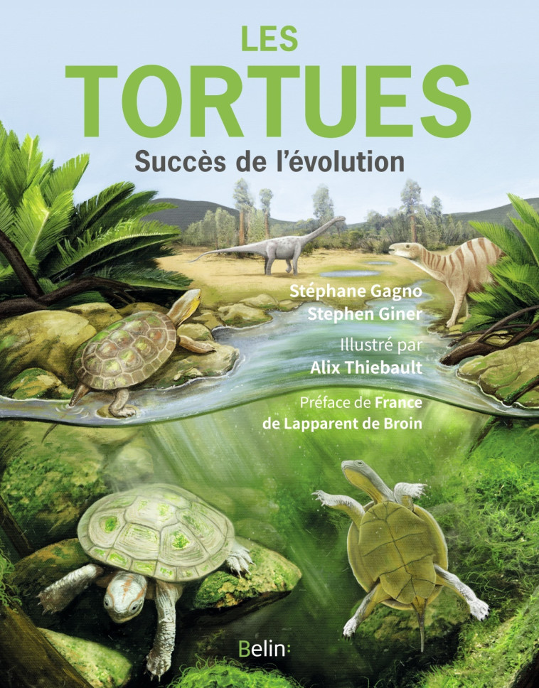 LES TORTUES - SUCCES DE L'EVOLUTION - GAGNO/GINER/THIEBAULT/FRANCE D - BELIN