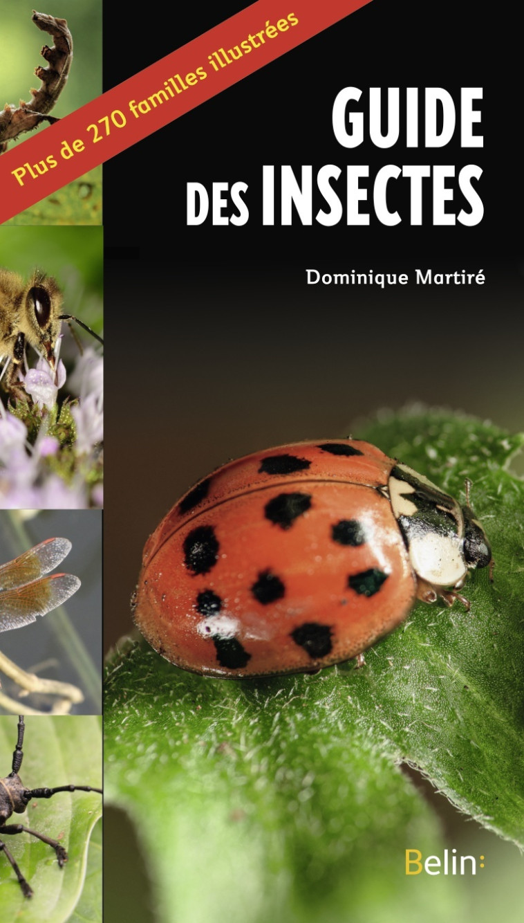 LE GUIDE DES INSECTES - MARTIRE DOMINIQUE - BELIN