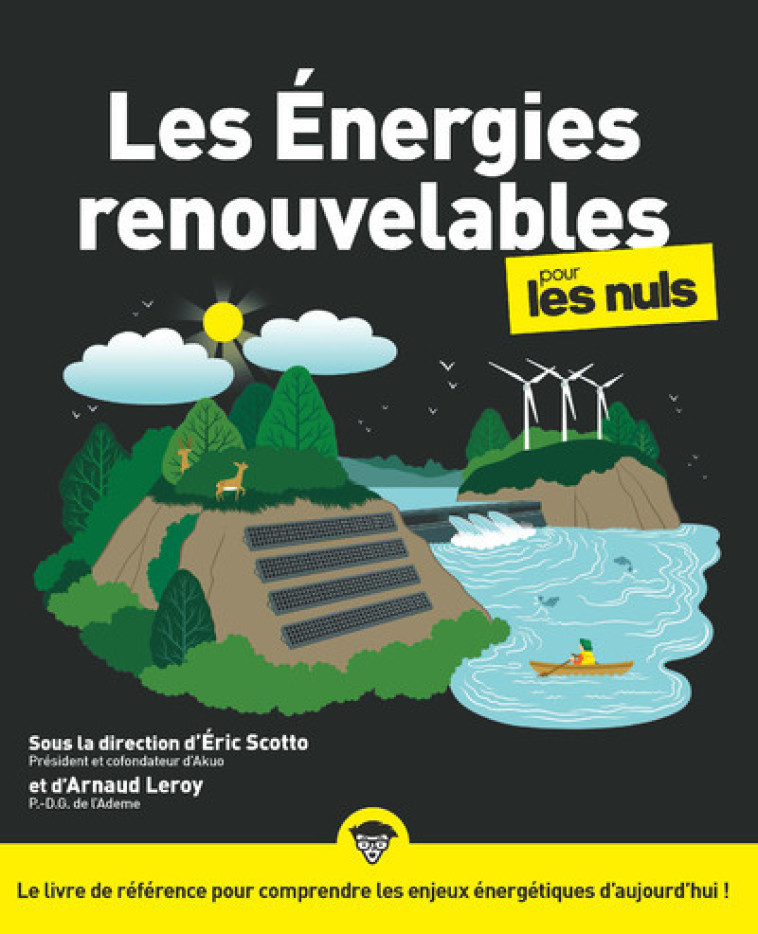 LES ENERGIES RENOUVELABLES POUR LES NULS - AKUO ENERGY - POUR LES NULS