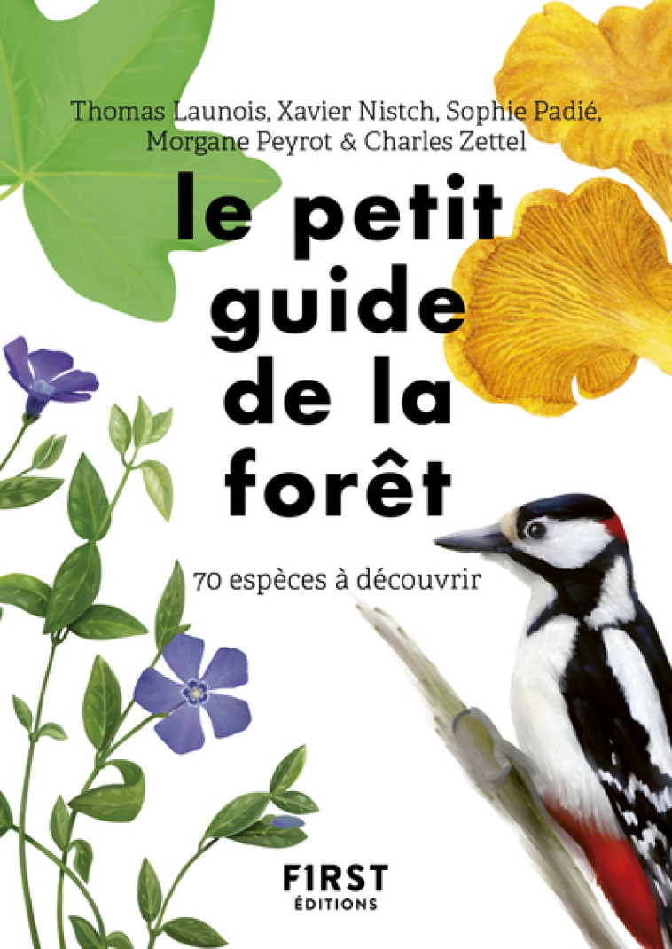 LE PETIT GUIDE D'OBSERVATION DE LA FORET - LAUNOIS/NISTCH/PADIE - FIRST