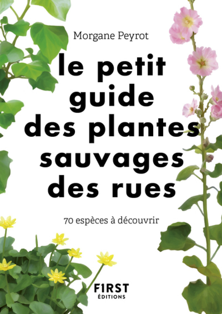 LE PETIT GUIDE DES HERBES SAUVAGES DES RUES - 70 ESPECES A DECOUVRIR - PEYROT/HERZOG - FIRST