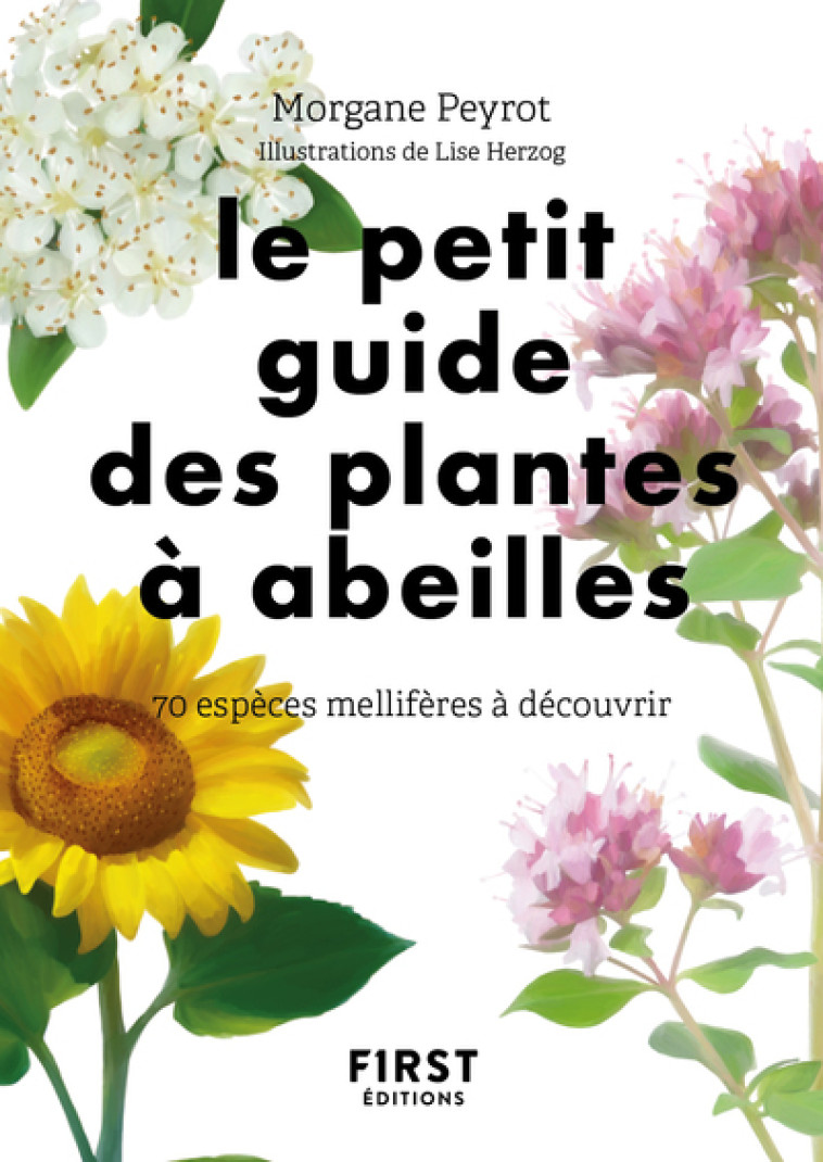 LE PETIT GUIDE DES PLANTES A ABEILLES - 70 ESPECES MELLIFERES A DECOUVRIR - PEYROT/HERZOG - FIRST