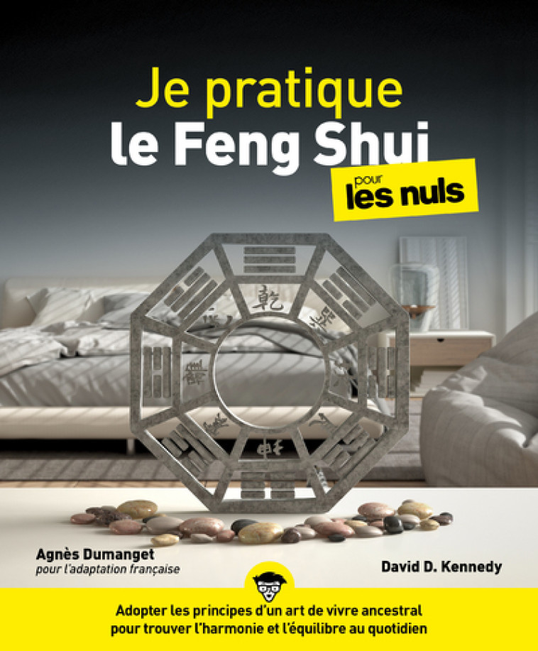 JE PRATIQUE LE FENG SHUI POUR LES NULS - KENNEDY DAVID - POUR LES NULS