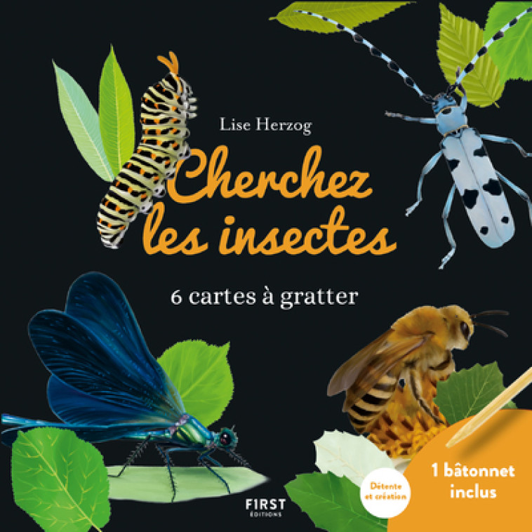 CARTES A GRATTER - CHERCHEZ LES INSECTES - COLLECTIF - FIRST