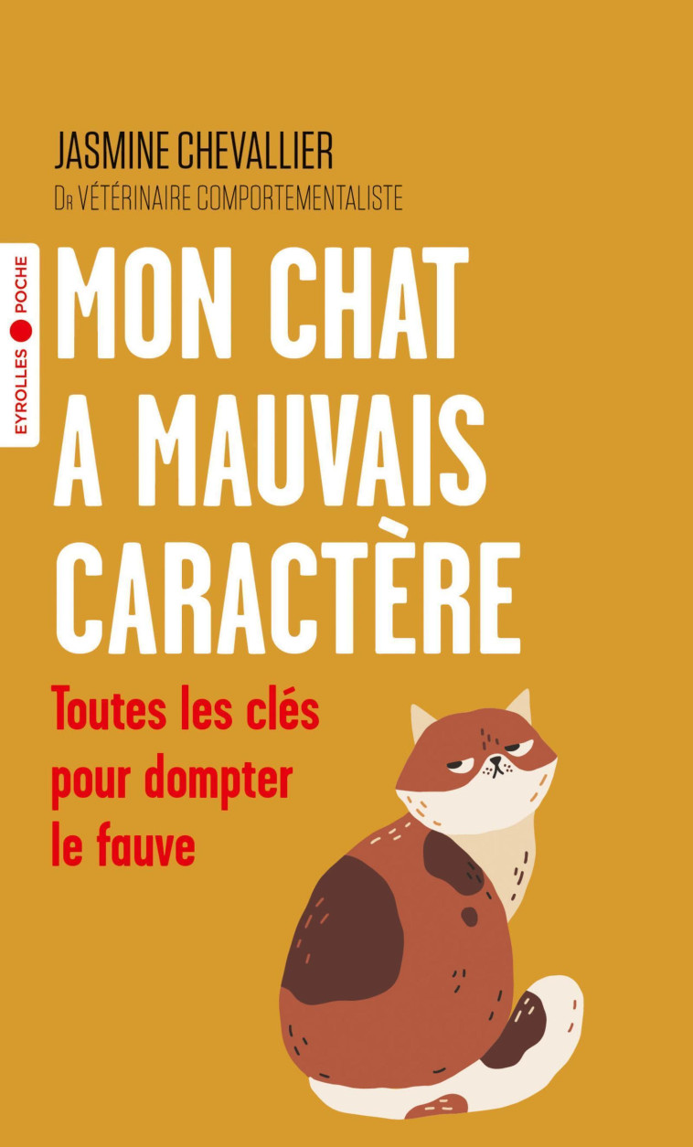 MON CHAT A MAUVAIS CARACTERE - TOUTES LES C LES POUR DOMPTER LE FAUVE - CHEVALLIER JASMINE - EYROLLES