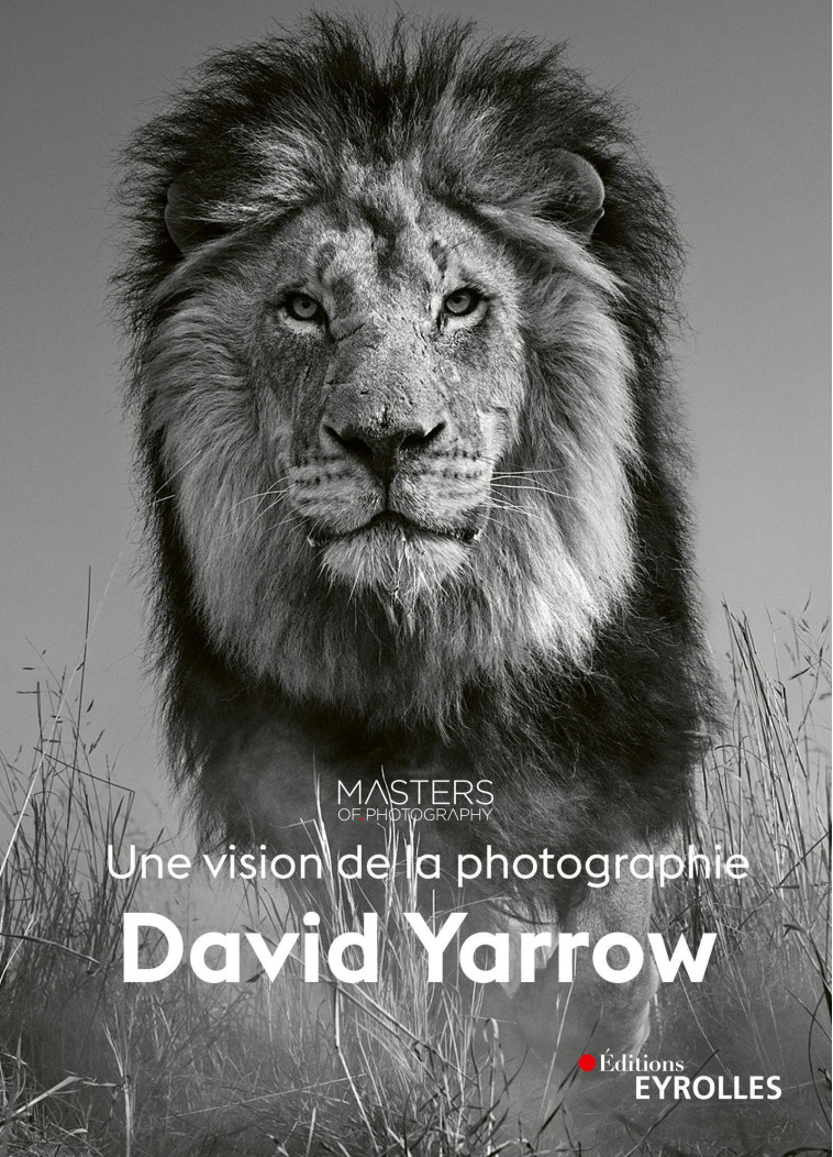 DAVID YARROW, UNE VISION DE LA PHOTOGRAPHIE - MASTERS OF PHOTOGRAP - EYROLLES