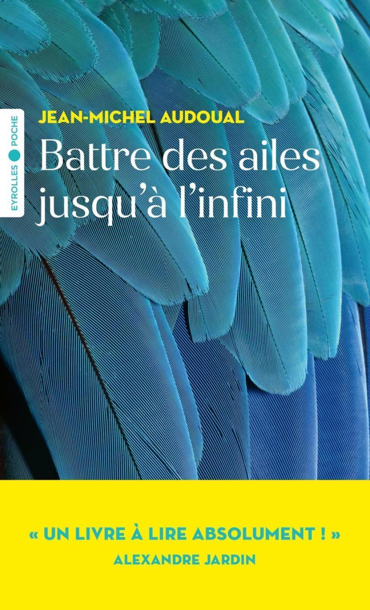 BATTRE DES AILES JUSQU'A L'INFINI - AUDOUAL JEAN-MICHEL - EYROLLES