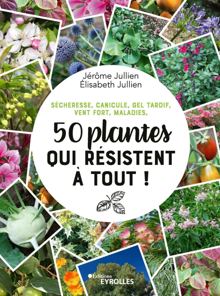 50 PLANTES QUI RESISTENT A TOUT - SECHERESSE, CANICULE, GE TARDIF, VENT FORT, MALADIES - JULLIEN - EYROLLES