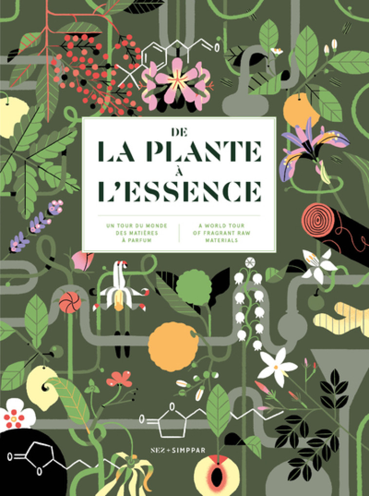 DE LA PLANTE A L'ESSENCE - UN TOUR DU MONDE DES MATIERES A PARFUM - LE COLLECTIF NEZ - NEZ EDITIONS