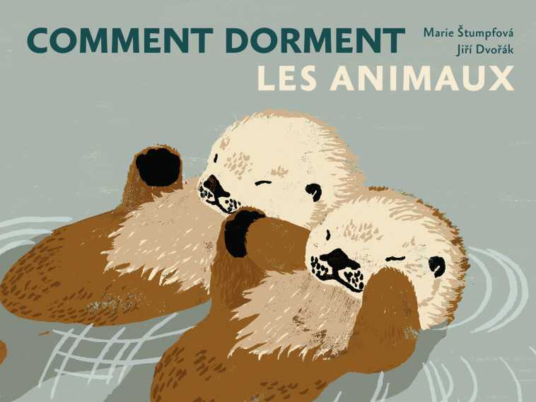 COMMENT DORMENT LES ANIMAUX - DVORAK/STUMPFOVA - LA PARTIE