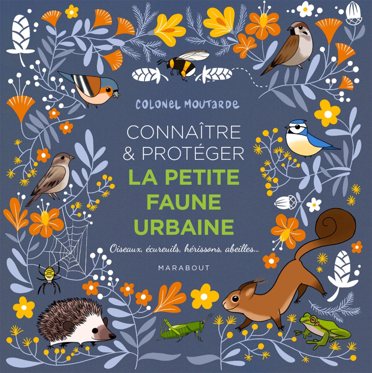 CONNAITRE ET PROTEGER LA PETITE FAUNE URBAINE - MOUTARDE COLONEL - MARABOUT