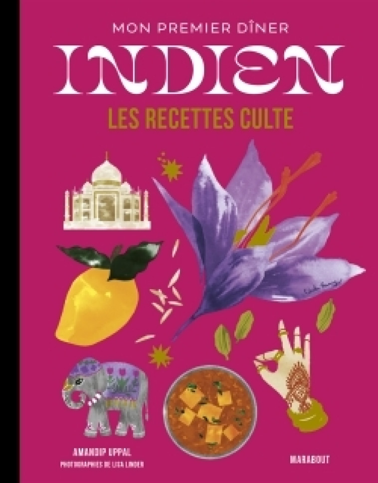 MINI RECETTES CULTE - MON PREMIER DINER INDIEN - UPPAL AMANDIP - MARABOUT