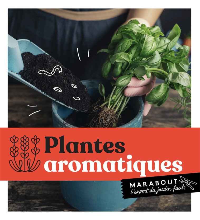 PLANTES AROMATIQUES - XXX - MARABOUT