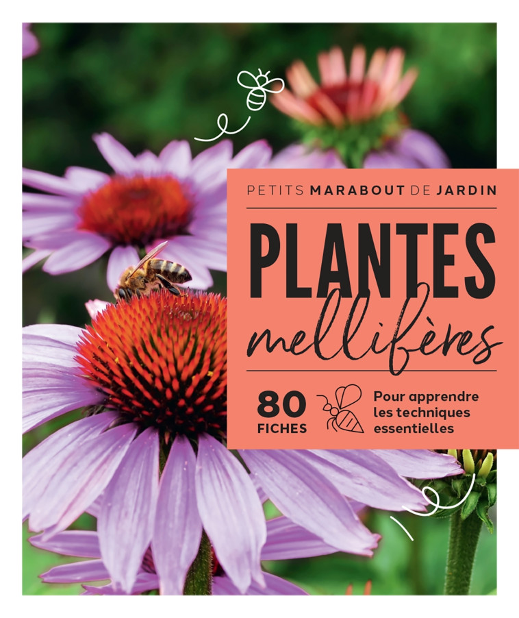 PLANTES MELLIFERES - COLLECTIF - MARABOUT