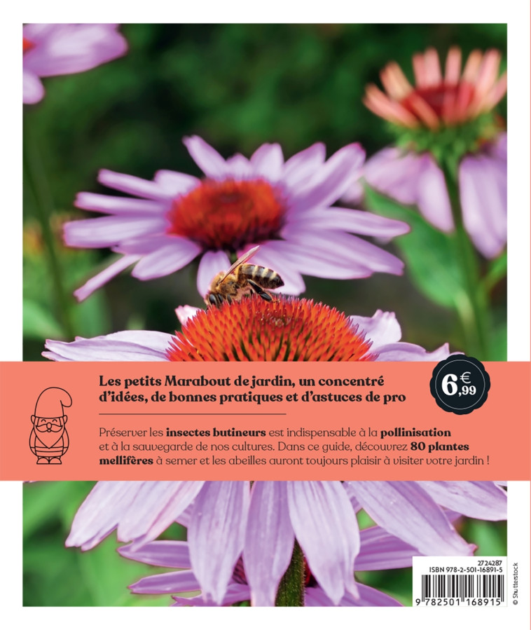 PLANTES MELLIFERES - COLLECTIF - MARABOUT