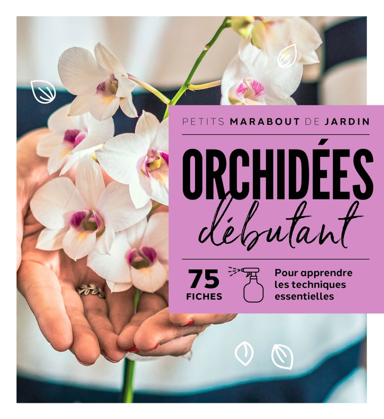 ORCHIDEES DEBUTANT - XXX - MARABOUT