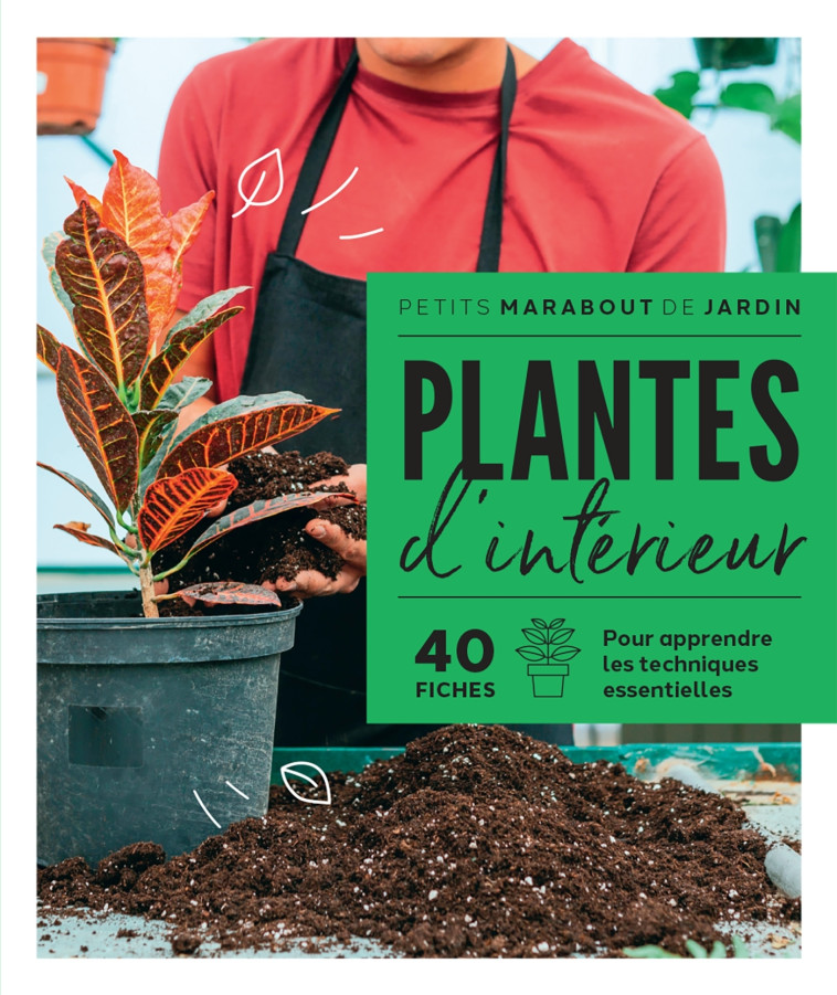 PLANTES D'INTERIEUR - COLLECTIF - MARABOUT