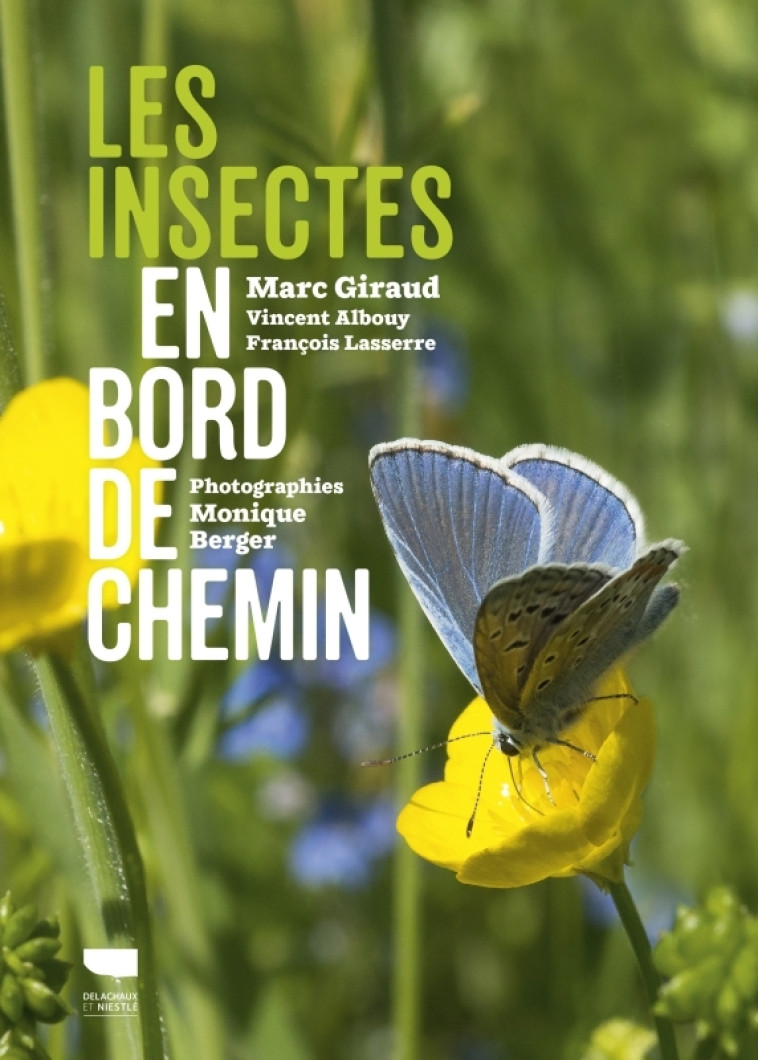 LES INSECTES EN BORD DE CHEMIN - GIRAUD/ALBOUY/BERGER - DELACHAUX