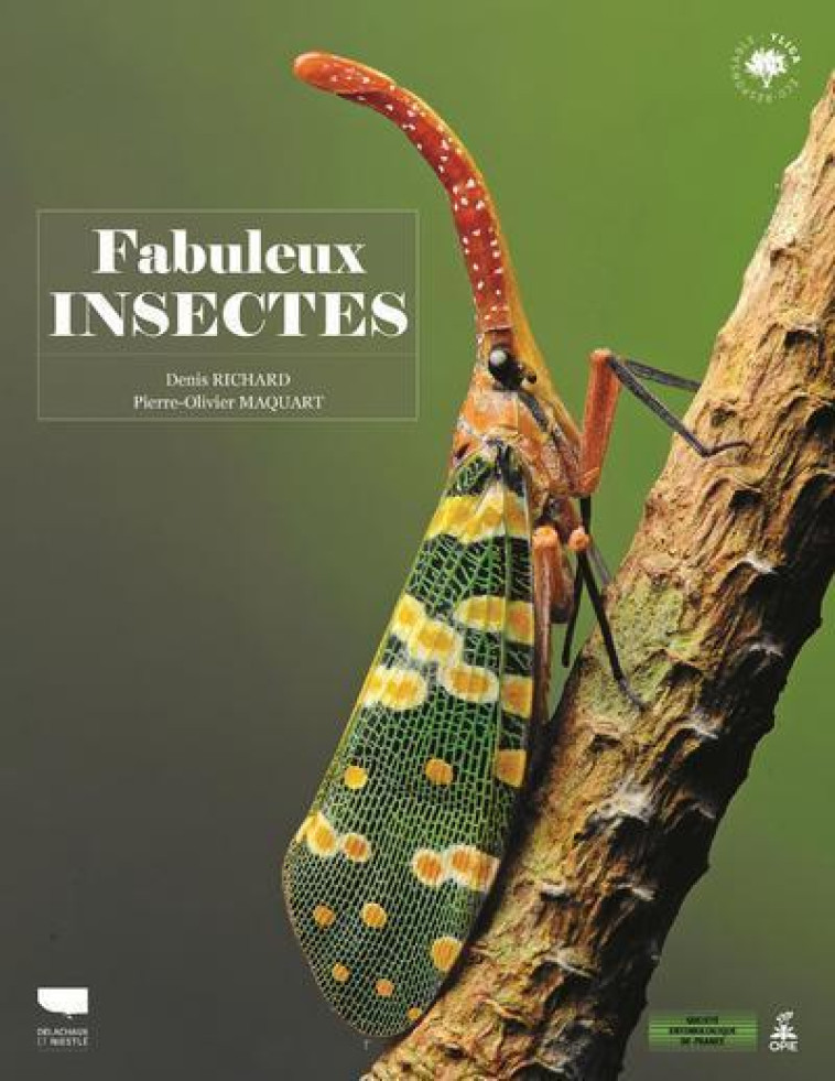 FABULEUX INSECTES - RICHARD/MAQUART - DELACHAUX