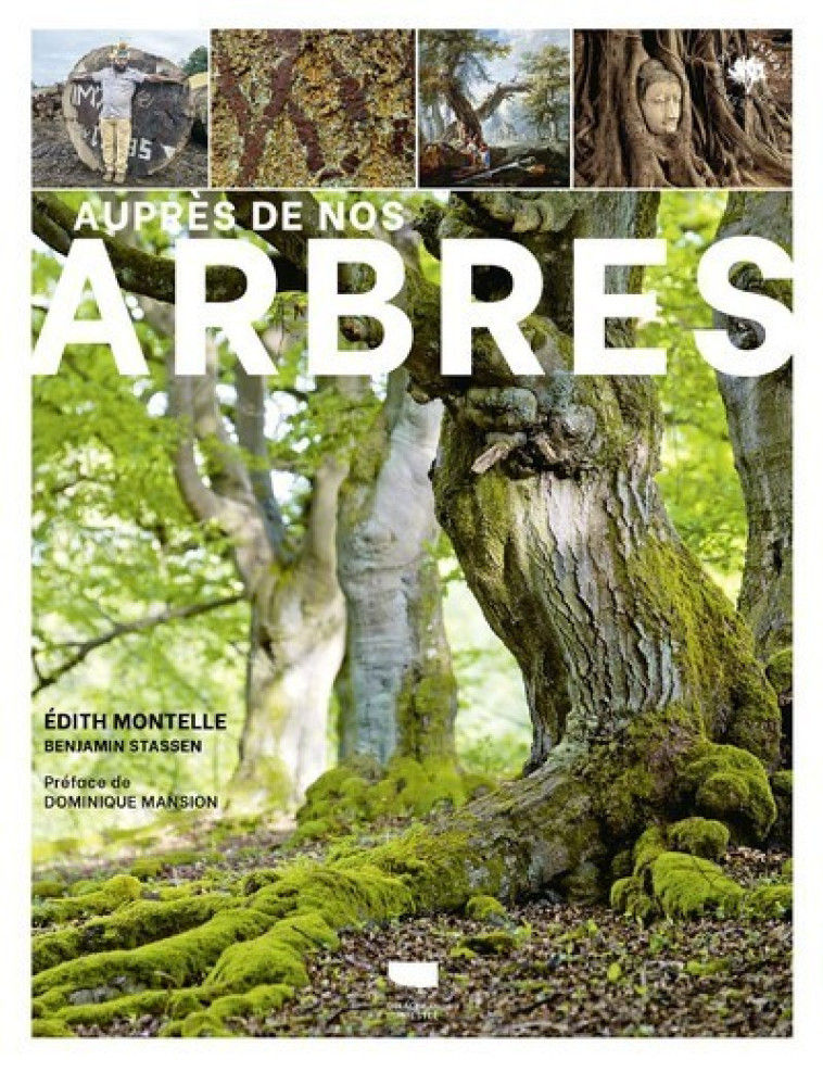 AUPRES DE NOS ARBRES - MONTELLE - DELACHAUX