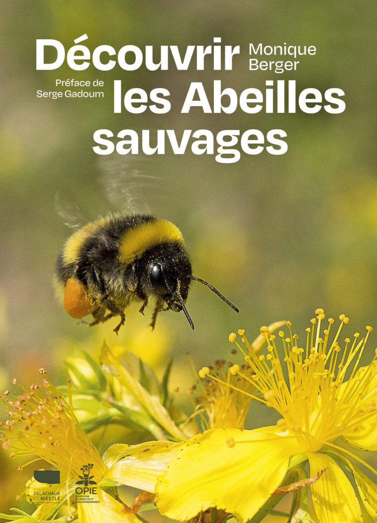 DECOUVRIR LES ABEILLES SAUVAGES - BERGER/GADOUM - DELACHAUX