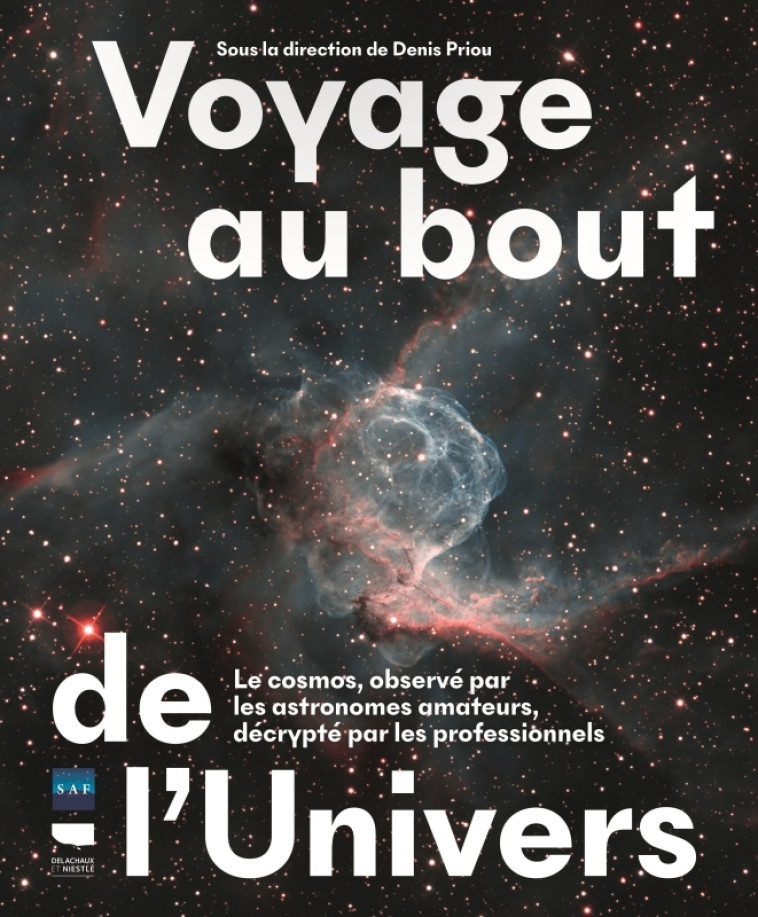 VOYAGE AU BOUT DE L'UNIVERS - LE COSMOS, OBSERVE PAR LES ASTRONOMES AMATEURS, DECRYPTE PAR LES PROFE - PRIOU DENIS - DELACHAUX