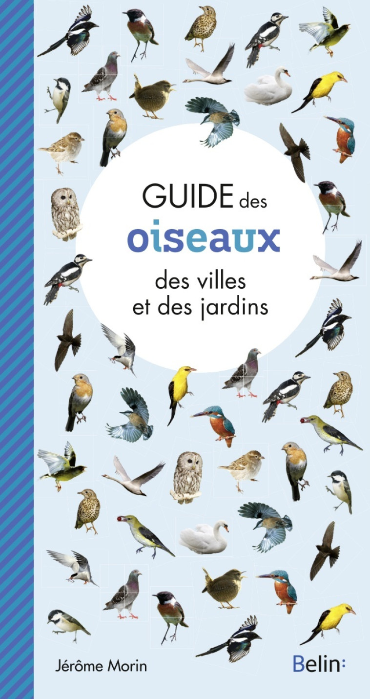 OISEAUX DES VILLES ET DES JARDINS URBAIN - EYSSARTIER GUILLAUME - BELIN