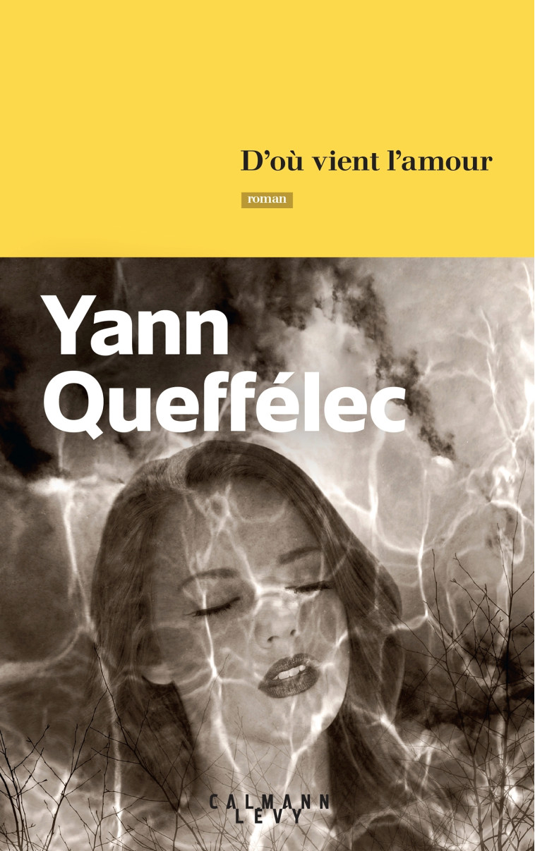 D'OU VIENT L'AMOUR - QUEFFELEC YANN - CALMANN-LEVY