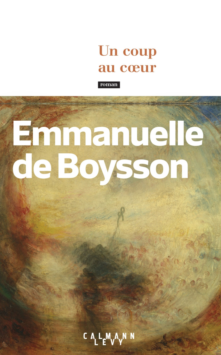 UN COUP AU COEUR - BOYSSON EMMANUELLE - CALMANN-LEVY