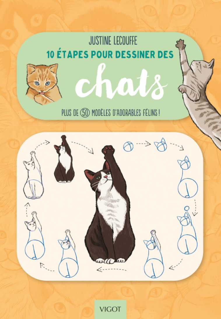 10 ETAPES POUR DESSINER LES CHATS - LECOUFFE JUSTINE - VIGOT